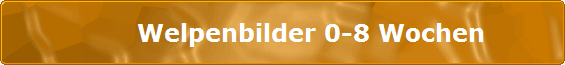               Welpenbilder 0-8 Wochen